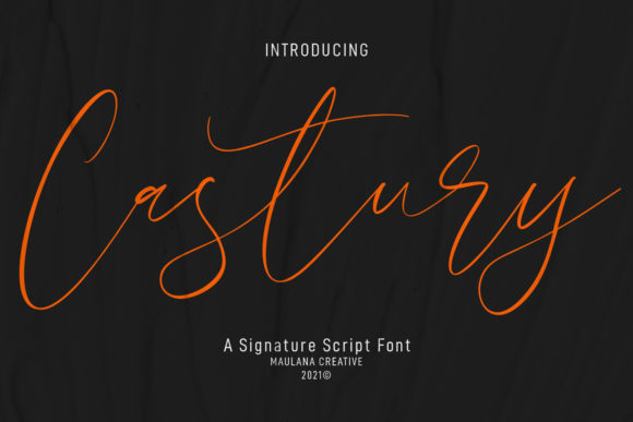 Castury: A Designer’s Honest Review