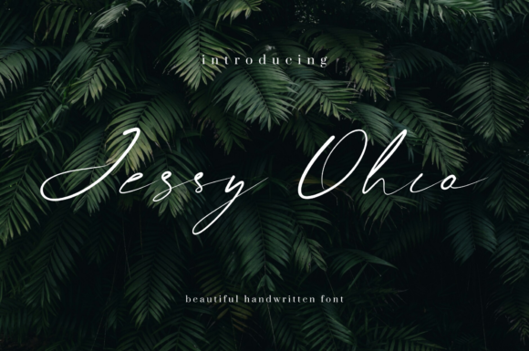 Jessy Ohio: A Designer’s Honest Review