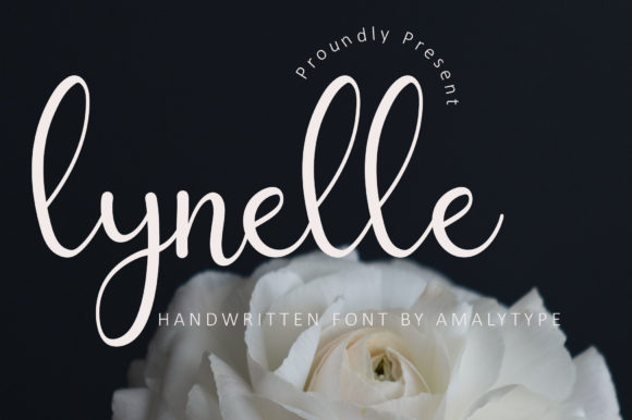 Lynelle Font: Elevating Campaign Visuals