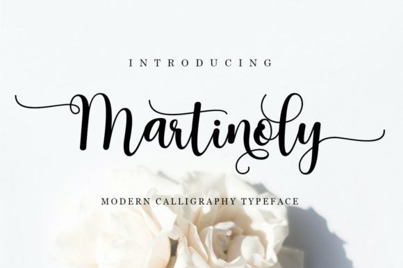 Martinoly Font Review for Campaign Designers