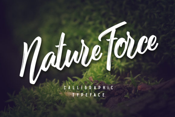 Nature Force Font: A Designer’s Review