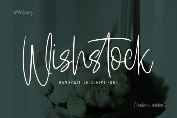 Wishstock: A Designer’s Honest Review
